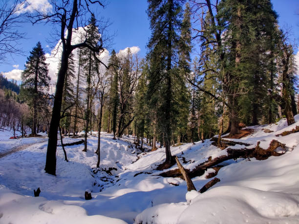 Kedarkanth mountains Uttarakhand india