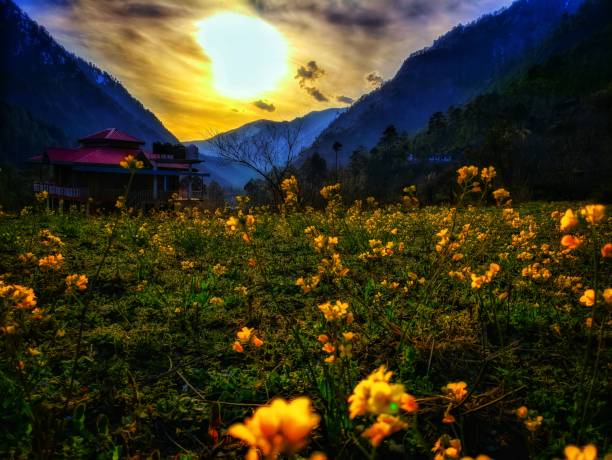 Green valley and mountains of Kasol